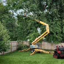 Best Fruit Tree Pruning  in Gretna, FL